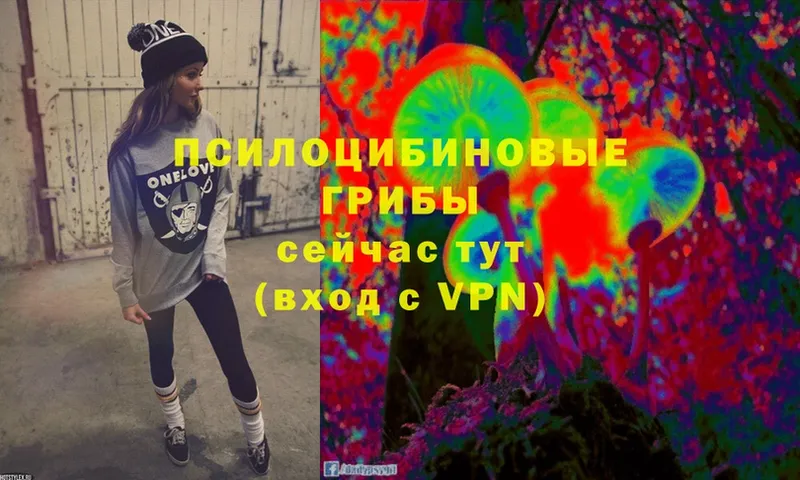 MEGA ссылки  Иннополис  Псилоцибиновые грибы Psilocybe 